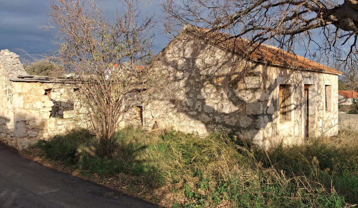 IMG-20260122-WA0008